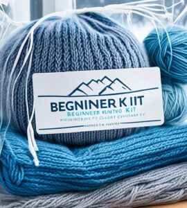 kit de tricot débutant